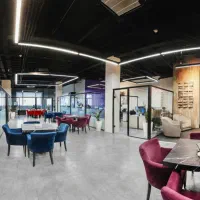 مدیر داخلی شرکت خصوصی/فقط خانم جوان