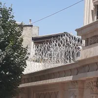 تولید حفاظ شاخگوزنی