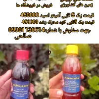 راز رشد گیاهان آپارتمانی و درختان میوه