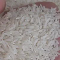 برنج|خوردنی و آشامیدنی|رشت, کوی حسینی|دیوار