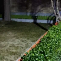 سر سبز مها ج ران و ی لایی ف ر وش مع ا وضه