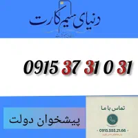 0915.37.31.0.31