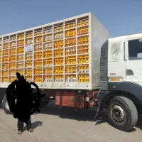 امیکو. تک باری مشبک مسقف فلزی