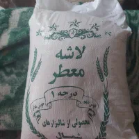برنج سرلاشه فریدون کنار