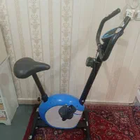 دوچرخه ثابت