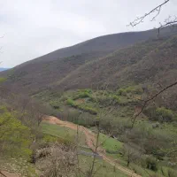 اجاره شبانه ویلا در شمال