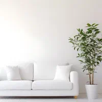 خانم جوان و مجرد برای امور منزل