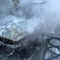 بسترن B50f