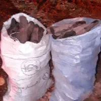 اهواز خوزستان