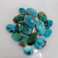 فیروزه اصل نیشابوری