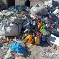 خریدار سبد میوه خرید ارکارتن موز به بالاترین قیمت