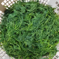 سبزیجات آماده و محصولات خانگی