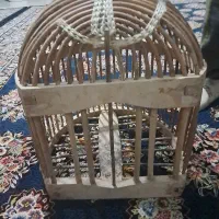 قفس بلدرچین کوهی