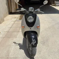 پاکشتی وینو