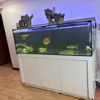 آکواریوم ریملس ۱۸۰×۶۰×۶۰