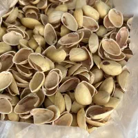 خرید تناژ بالا قیمت روز پوست پسته