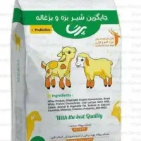 غذای کمکی