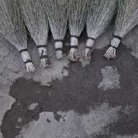 جارو صحرای