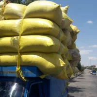 فروش کاه تحویل در درب منزل