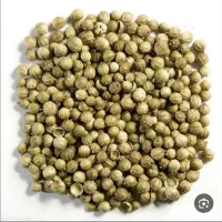 خرید گشنیز به صورت نقد