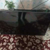 ۵۵ ایکس ویژن|تلویزیون و پروژکتور|مشهد, مقدم|دیوار