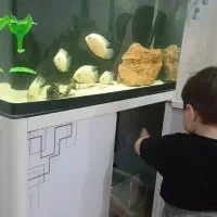 آکواریوم به همراه کمد