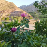 اجاره ویلا،سوییت، ارتکند کلات