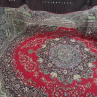 قالی سالم و تمیز در شادگان
