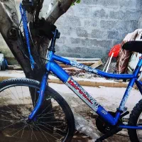 یک عدد دوچرخه