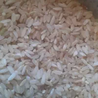 برنج چمپه چیتاب