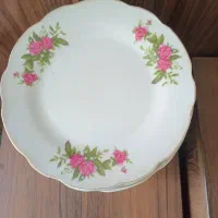 پیشدستی گل سرخی ۲۱ عدد