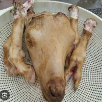 کله پاچه