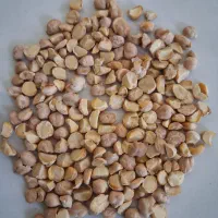 فروش نخود ابگوشتی مدل لپه ای و فلافلی