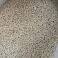 برنج طارم هاشمی