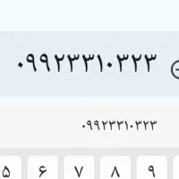 کبوتر ایرانی پرشی