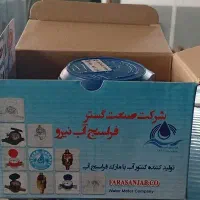 کارگر خانم