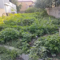 قطعه-کوچیک-اکبرآباد-چالوس