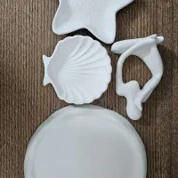 ظروف مخصوص عکاسی محصولات