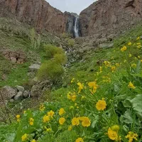 باغ
