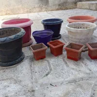 تعدادی گلدان با شیشه مربا
