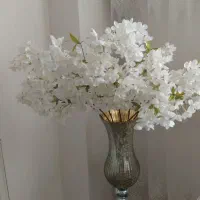 گل وگلدان شیک وتمیز