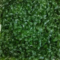 دیوار کوب برگ پرتقالی