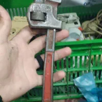 اچار شلاقی بزرگ و متوسط