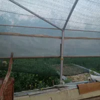 داربست گلخانه