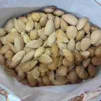 بادام