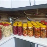 ترشی و خیارشور