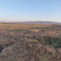 زمین باغی کنار جاده ۵۰ هزار متر مربع سند تک برگ