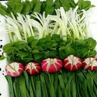 ارزان قیمت