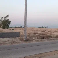 زمین سر خیابون شهرک دامداران