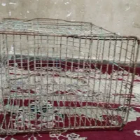 قفس|لوازم جانبی حیوانات|شادگان, |دیوار